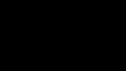 El nivel de aceptación de Joe Biden crece cuando tiene un discurso a favor de los migrantes.