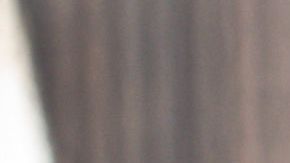 El presidente Trump critica el voto por correo, aunque él lo ha utilizado en varias ocasiones.