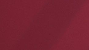 El mandatario ha insistido en que la pandemia va a la baja.