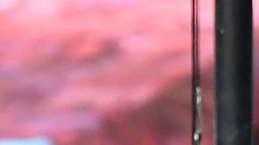 Raúl Jiménez festejando un gol con Wolves.