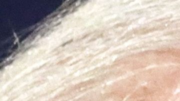 Biden critica a Trump en un momento de baja aprobación para el presidente.