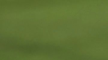 Sergio Ramos en un partido con Real Madrid.