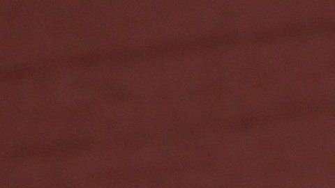 Mike Trout ya entrena con los Angels pero todavía no define si jugará la temporada.