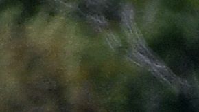 El Juego de Estrellas de las Ligas Mayores no se cancelaba desde 1945.