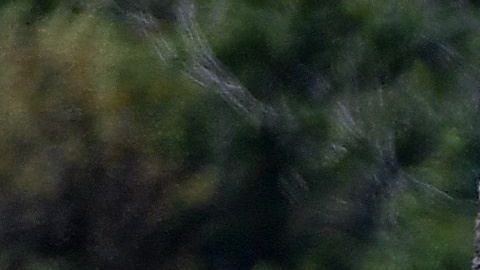 El Juego de Estrellas de las Ligas Mayores no se cancelaba desde 1945.