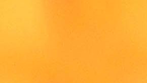 Patric perdió la cabeza y soltó una mordida en la derrota de su equipo.