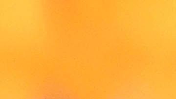 Patric perdió la cabeza y soltó una mordida en la derrota de su equipo.