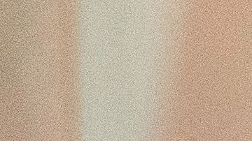 El presidente López Obrador es criticado en México por aplaudirle a Donald Trump.