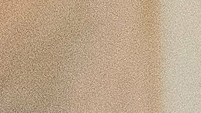 AMLO y Donald Trump antes de la cena.