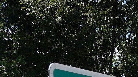 Daniel Lewis Lee fue ejecutado este martes.