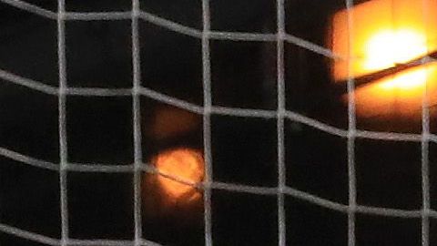 El portero Steve Clark ataja el penalti del Chicharito Hernández en jugada que fue clave en el partido.