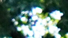 Usar cubrebocas no limita los niveles de oxígeno en el cuerpo