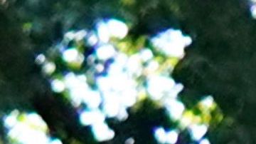 Usar cubrebocas no limita los niveles de oxígeno en el cuerpo