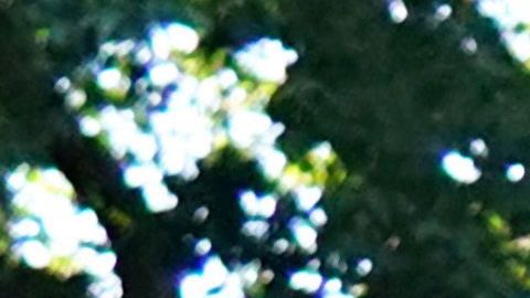 Usar cubrebocas no limita los niveles de oxígeno en el cuerpo