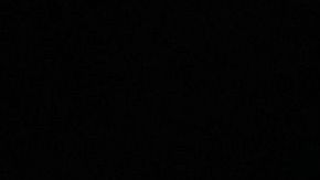 Sporting-Kansas-City-Alan-Pulido