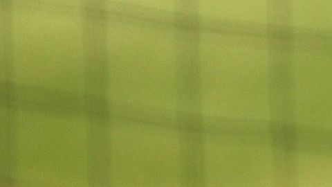 Gabe Kapler se unió a las manifestaciones antirracistas.