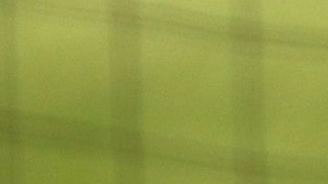 Gabe Kapler se unió a las manifestaciones antirracistas.