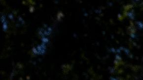 Una vigilia por las enfermeras que murieron de COVID-19 se realizó en Washington, DC.