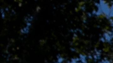 Una vigilia por las enfermeras que murieron de COVID-19 se realizó en Washington, DC.