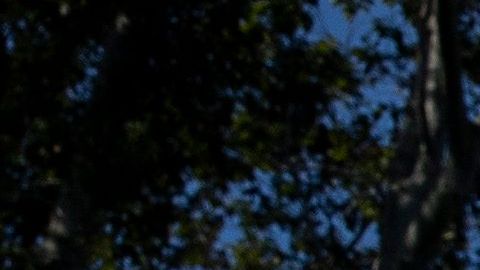 Una vigilia por las enfermeras que murieron de COVID-19 se realizó en Washington, DC.