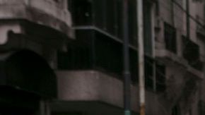 Autoridades recomiendan cuidar responsablemente de nuestros animales.