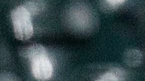 Joe Kelly de los Dodgers y Carlos Correa de los  Astros se encaran.