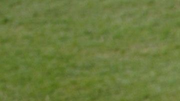 El béisbol de las Ligas Mayores ha adoptado un distintivo para recordar el 9 de septiembre.