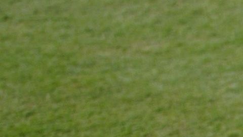 El béisbol de las Ligas Mayores ha adoptado un distintivo para recordar el 9 de septiembre.