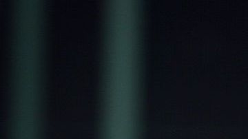 Dana Stubblefield en su etapa con los 49's de San Francisco.