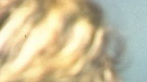 Carlos Hermosillo habló fuerte de los ídolos mexicanos.