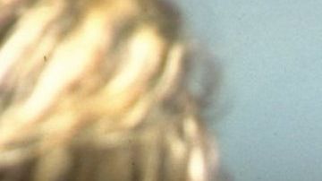 Carlos Hermosillo habló fuerte de los ídolos mexicanos.