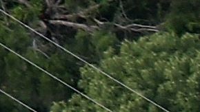 CBP busca mejorar la vigilancia en la frontera.