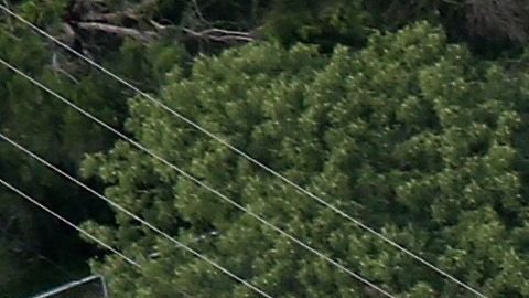 CBP busca mejorar la vigilancia en la frontera.