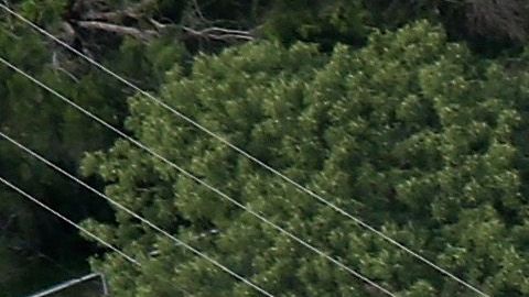 CBP busca mejorar la vigilancia en la frontera.