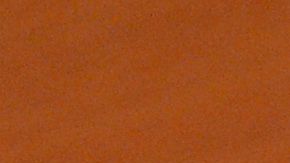 El Pseudoterranova azarasi suele vivir en mamíferos marinos.