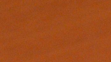 El Pseudoterranova azarasi suele vivir en mamíferos marinos.