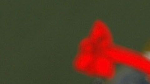 El “Tomahawk Chop” es uno de las coreografías más características en el béisbol.