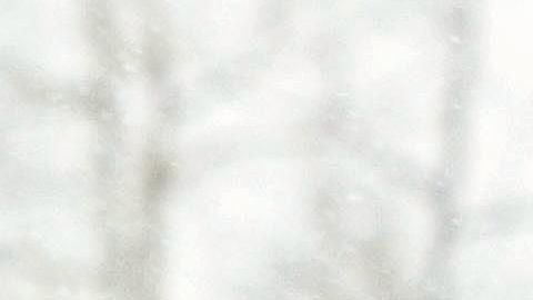 El noruego Finn Christian Jagge alcanzó la gloria en la prueba de esquí alpino.