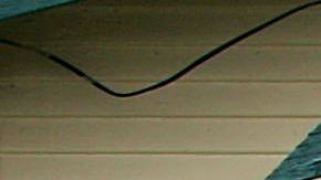 Estadounidenses blancos recibieron los cheques de estímulo más rápido que los afroamericanos y latinos