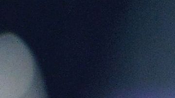 Katie Price en evento