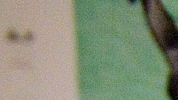 Aunque el calendario de envío de cheques es hasta septiembre, hay personas que pueden solicitarlo en octubre.