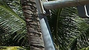 Turistas cargando maletas en Miami Beach.