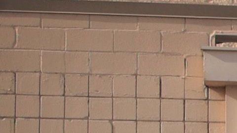 Sam's Club revisa tu recibo compra beneficios robo