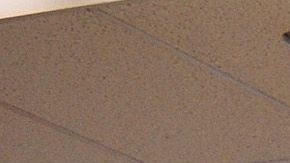 Dollar General Dollar Tree frutas verduras comestibles alimentos leche calidad ahorro advertencia