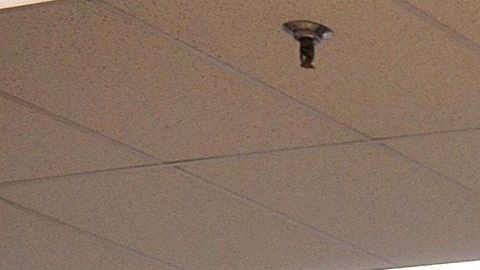 Dollar General Dollar Tree frutas verduras comestibles alimentos leche calidad ahorro advertencia