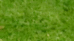 Antoine Griezmann con su padre en su etapa con el Atlético de Madrid.