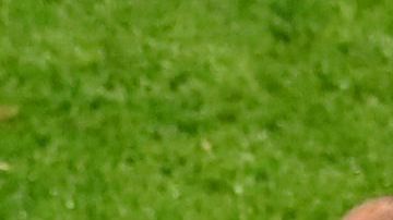 Antoine Griezmann con su padre en su etapa con el Atlético de Madrid.