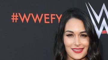 Nikki y Brie Bella antes del embarazo.