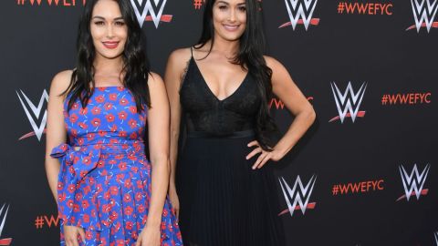 Nikki y Brie Bella antes del embarazo.