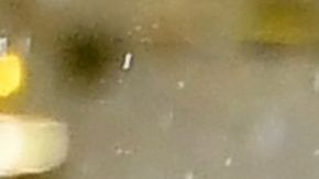 Trofeo Copa del Mundo